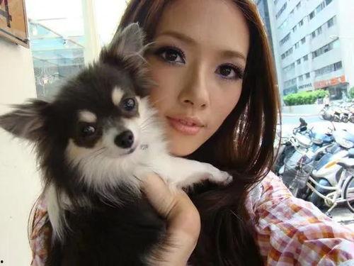 娱乐大爆料郭碧婷是谁啊,娱乐大爆料中的璀璨明星